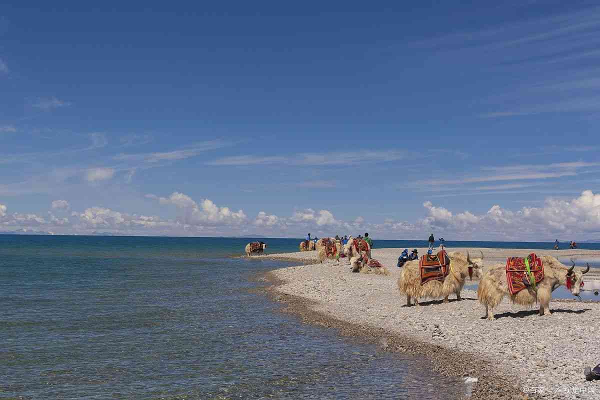青海旅行社联系方式大全查询电话号码